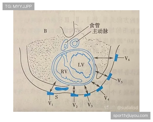 一分钟看懂八秒违例如何判定，让你不再为发球超时而困惑