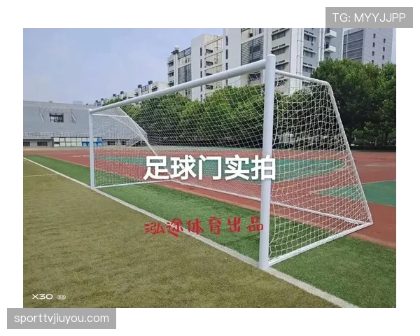足球比赛中球门尺寸的标准规定与判罚影响解析 足球比赛中球门尺寸的标准规定与判罚影响解析
